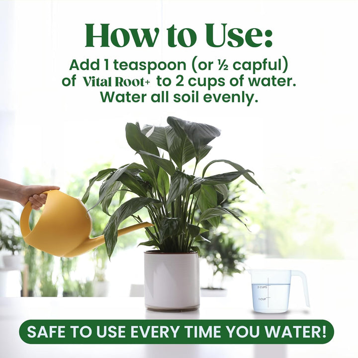 Vital Root+ Liquid Root Stimulator and Root Supplement for Fiddle Leaf Fig &amp; Indoor Plants - Propagation Promoter &amp; Root Rot Treatment - Food for Healthy Roots, Stems &amp; Leaves