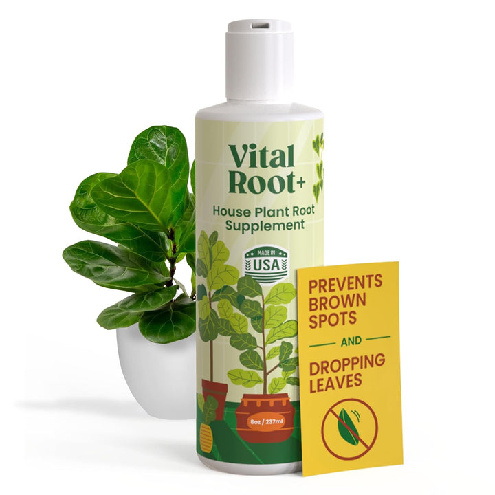 Vital Root+ Liquid Root Stimulator and Root Supplement for Fiddle Leaf Fig &amp; Indoor Plants - Propagation Promoter &amp; Root Rot Treatment - Food for Healthy Roots, Stems &amp; Leaves