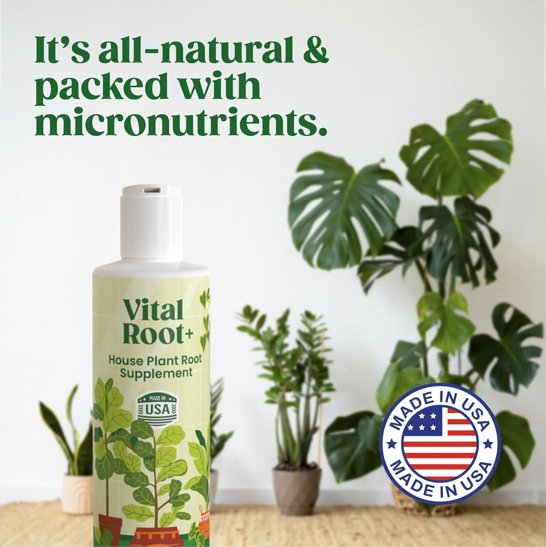 Vital Root+ Liquid Root Stimulator and Root Supplement for Fiddle Leaf Fig &amp; Indoor Plants - Propagation Promoter &amp; Root Rot Treatment - Food for Healthy Roots, Stems &amp; Leaves