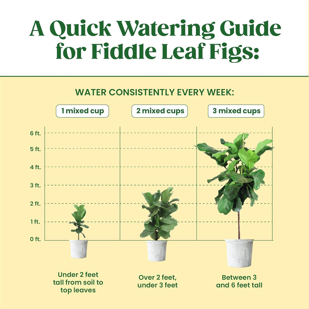 Vital Root+ Liquid Root Stimulator and Root Supplement for Fiddle Leaf Fig &amp; Indoor Plants - Propagation Promoter &amp; Root Rot Treatment - Food for Healthy Roots, Stems &amp; Leaves