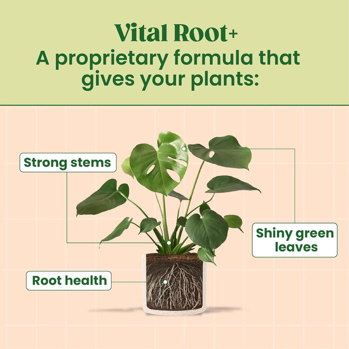 Vital Root+ Liquid Root Stimulator and Root Supplement for Fiddle Leaf Fig &amp; Indoor Plants - Propagation Promoter &amp; Root Rot Treatment - Food for Healthy Roots, Stems &amp; Leaves