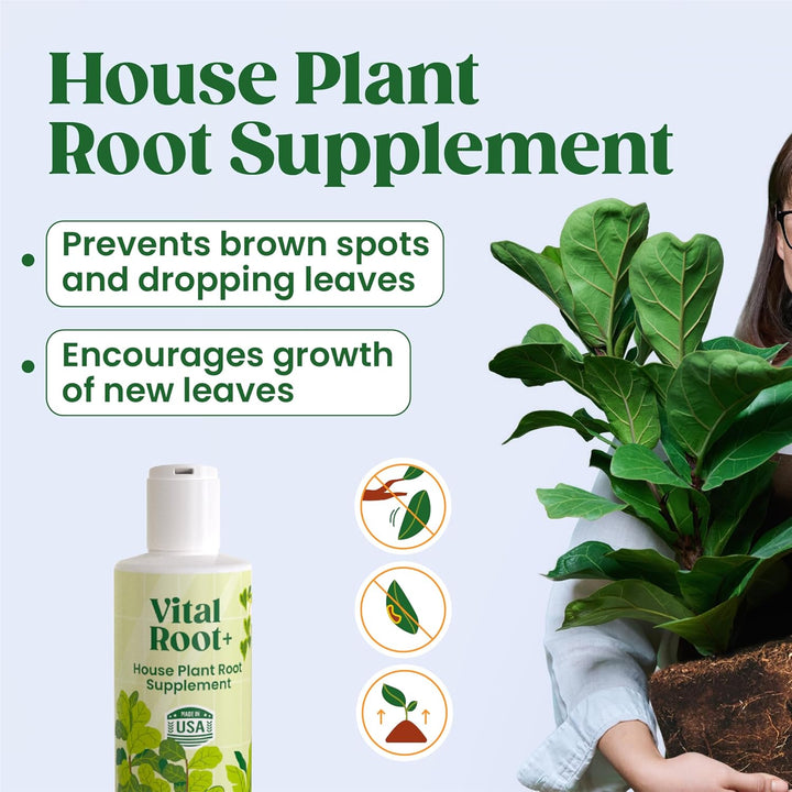 Vital Root+ Liquid Root Stimulator and Root Supplement for Fiddle Leaf Fig &amp; Indoor Plants - Propagation Promoter &amp; Root Rot Treatment - Food for Healthy Roots, Stems &amp; Leaves