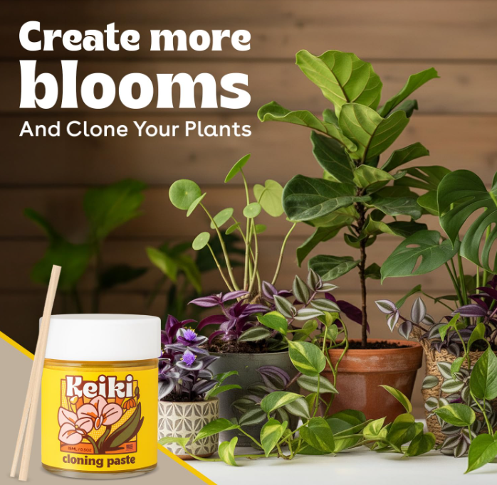 Keiki Cloning Paste - Plant Propagation Gel for Orchids, 0.5oz